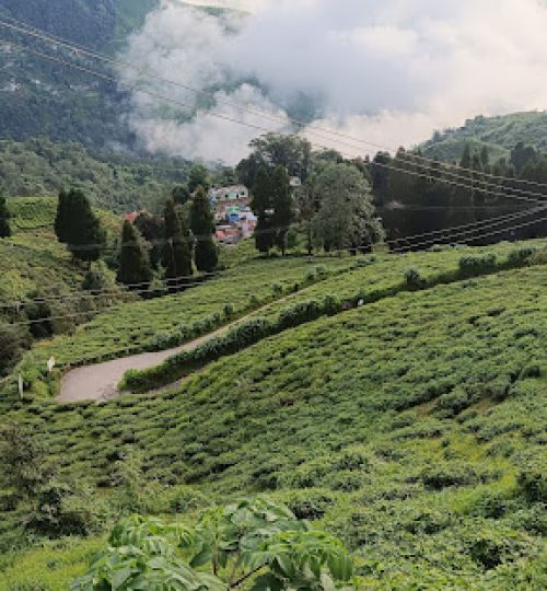 darjeeling-5