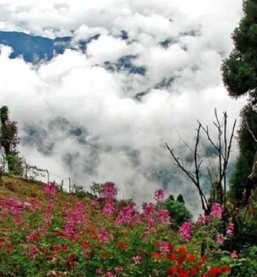 kalimpong-1